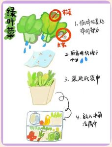 怎样储存韭菜长期不变质_冷藏冷冻水养，轻松延长食用期！