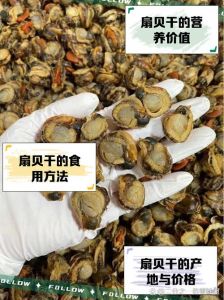 扇贝肉开锅焯水多久能熟_焯水扇贝肉黄金时间，去腥保鲜嫩！