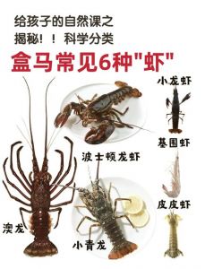 小龙虾是不是脊椎动物_威胁生态多样性的无脊椎动物
