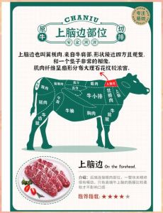 牛上脑是哪个部位的肉_选对牛肉部位，烹饪更美味！