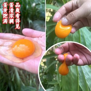 绿壳蛋和土鸡蛋的区别_绿壳蛋土鸡蛋有啥不同？