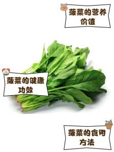 菠菜用水焯几分钟能熟_菠菜焯水时间多久最合适？