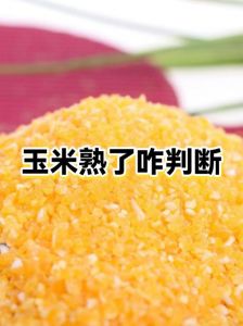 熟玉米坏了如何判断_颜色异味质地口感变坏要当心