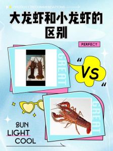 小龙虾与大龙虾的区别_亲缘远习性不同