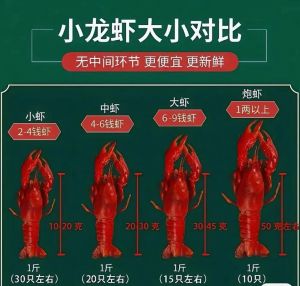 海龙虾和大龙虾的区别_差异与美食