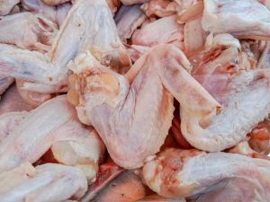 鸡翅根部位图_短粗肉香，烤炸红烧皆宜！