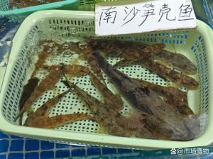 笋壳鱼跟沙塘鳢的区别_外形口感大不同