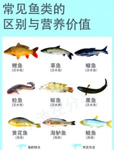 海鲫鱼和鲷鱼区别_日本寿司珍品，韩国烤鱼美味