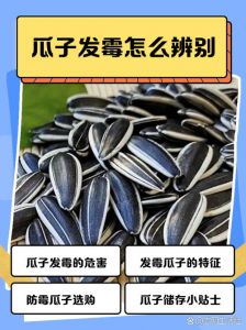 瓜子炒熟后掉皮什么原因_瓜子炒易掉皮？简单方法防掉皮！