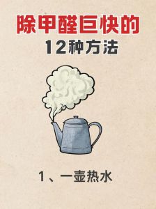 家里空气太臭求除臭方法_多种方法改善家中异味，让空气更清新