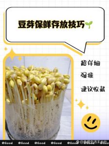 豆芽菜的保存方法_冷藏避光控干保3-5天，冷冻真空也能延长豆芽期