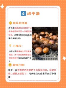 熟板栗怎么储存不坏_板栗怎么保存？常温冷藏冷冻法全攻略