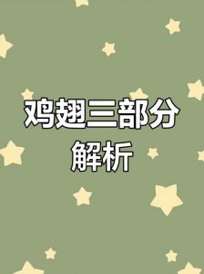 鸡翅分哪三个部位_鸡翅三部位做法，翅尖炖翅中烤，美味佳肴这样选！