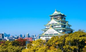 探秘日本天堂产区与二线产区：特色美食文化与传统美味深度旅游攻略