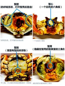 电蒸锅蒸螃蟹为什么不好_蒸螃蟹别用电蒸锅，口感难保易变硬