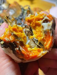 螃蟹上锅蒸20分钟能熟吗_蒸螃蟹多久？大闸蟹15-20分钟，小个延长些