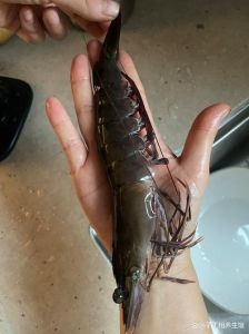 黑虎虾虾煮几分钟熟_黑虎虾煮多久？看红C形，别死守时间