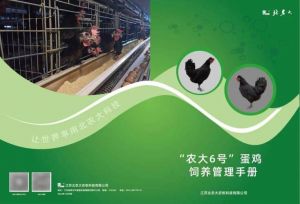 蛋鸡肉鸡饲养管理区别_肉鸡快长蛋鸡慢产，饲料成本价不同