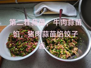 蒜苗香菇饺子馅的做法_蒜苗香菇饺，鲜美家常味