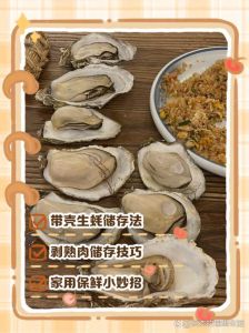 活生蚝怎么保存方法_冷藏湿保存活生蚝，活鲜不愁！