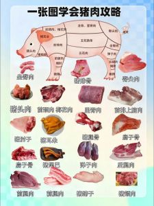 图解猪身上160个部位_猪肉部位不同做法多