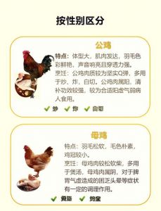二笨鸡和笨鸡有什么区别_山林野养更鲜黄，二笨鸡更新鲜但蛋黄稍浅