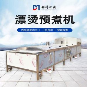 说明果蔬原料漂烫的方法_气泡水浴高压喷淋清洗蔬菜流水线