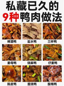 一鹅八吃的做法_低脂美味做法分享