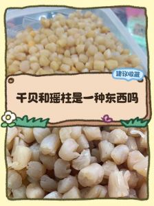 干贝跟瑶柱有什么区别_干贝瑶柱一样吗？区别与做法