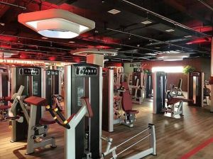 游泳馆室内操双男主美食文化探讨：高干主题下的饮食习惯与菜谱解析