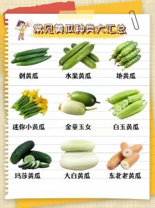 黄瓜各部位名称_黄瓜营养多，凉拌炒煮样样行
