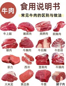 牛肉各部位名称及俗称及图片_牛肉部位不同，做法各异