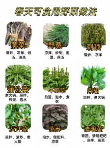 春季野菜品种及做法菜单_春天尝鲜野菜，槐花野韭菜做法多