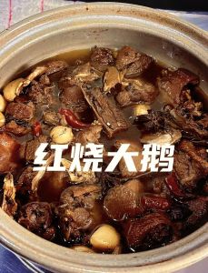 卤鹅肉最正宗的做法_香料卤制狮头鹅，鲜香入味！