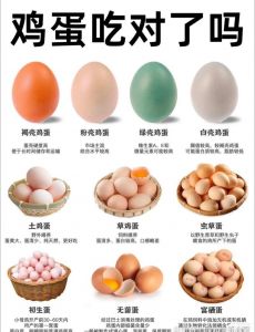 鲜鸡蛋和柴鸡蛋的口感区别_柴鸡蛋蛋黄深黄浓稠，营养略高，选新鲜卫生！