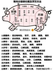 猪肉各部位图片大全_部位与做法全解析