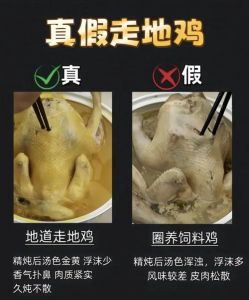笨鸡和肉鸡区别_快速与传统的选择