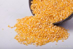 玉米糁煮10分钟会熟吗_玉米糁十分钟煮熟？看颗粒锅和水量
