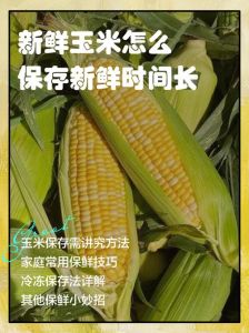 鲜玉米棒怎样长期保存_冷藏冷冻真空，各类型时选对法