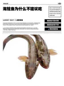 海鲶鱼刺多么_美味与风险并存