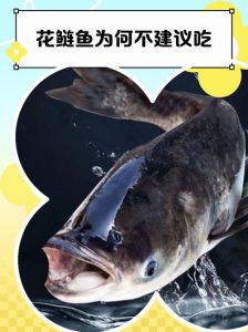 雄鱼和花鲢有区别吗_大头鱼，滤食性，中上层，好养，肉美