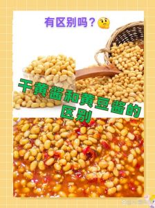 湿黄酱是不是黄豆酱_风味质地大不同