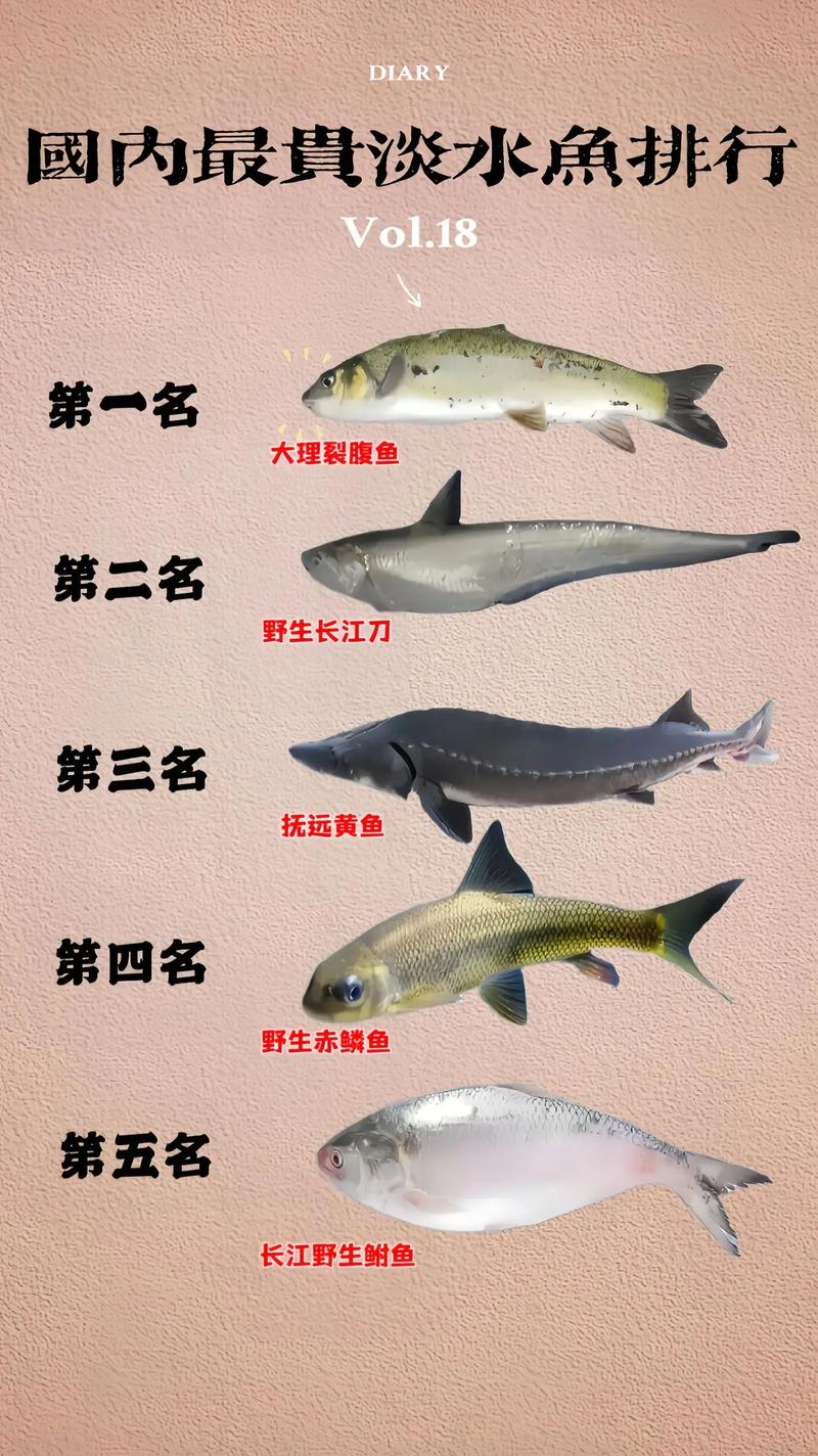 淡水鱼属于海鱼吗_环境体型口感大不同