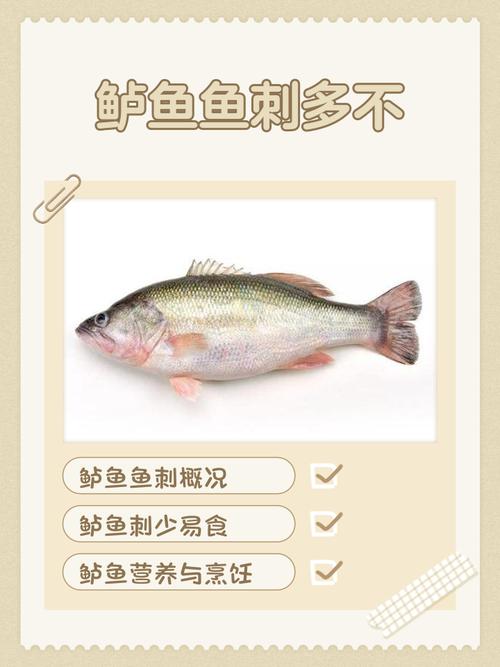 红烧鲈鱼和红烧黑鱼哪个刺多_鲈鱼红烧肉质嫩，黑鱼红烧风味足，看喜好选鱼！