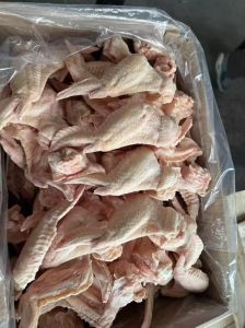 鸡翅分为几个部位图_飞行奥秘与仿生启示
