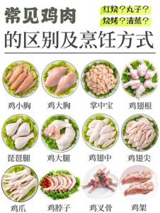 鸡腿和琵琶腿是哪个部位图解_鸡腿肉嫩多汁煎炸烤，琵琶腿紧实耐炖卤