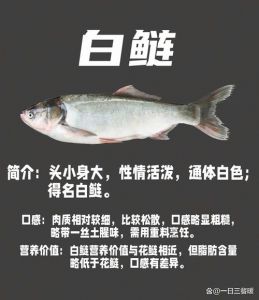 花鲢与白鲢的区别哪个刺多_花鲢白鲢怎么选？红烧清蒸有分别