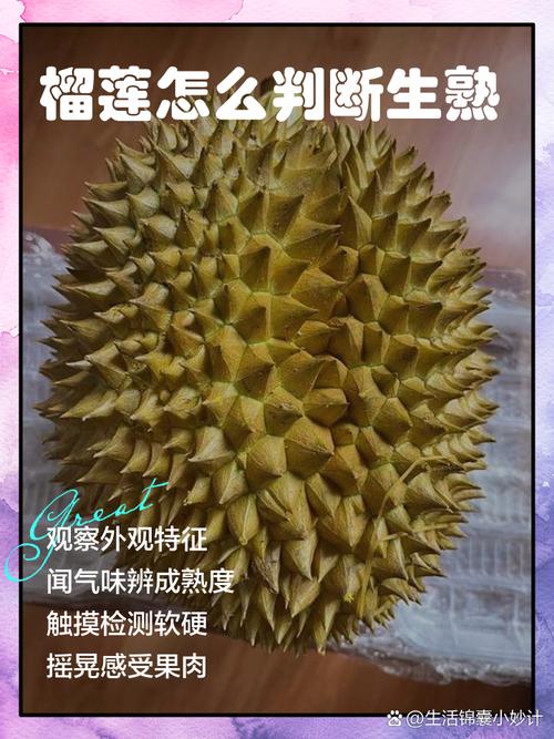 怎么判断榴莲肉熟没熟_榴莲挑好技巧，熟度刚好在家享！