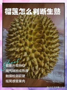 怎么判断榴莲肉熟没熟_榴莲挑好技巧，熟度刚好在家享！