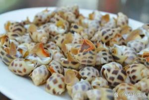 花螺高温蒸10分钟够吗_蒸花螺黄金时间，盐水吐沙加蘸料